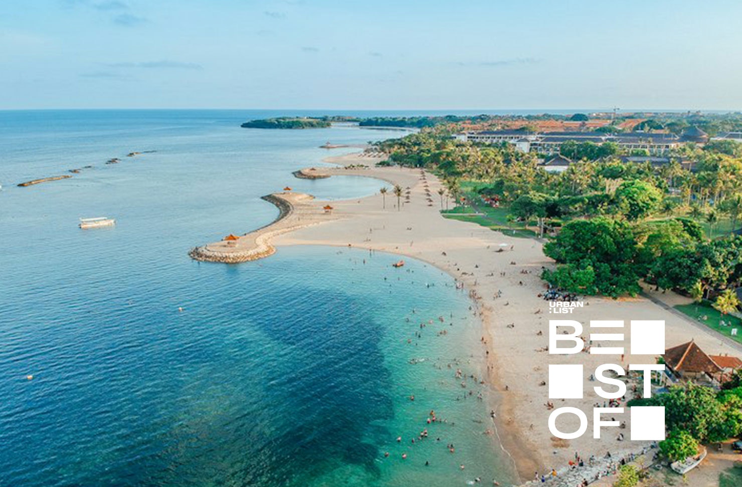 an aerial of shoreline with palm trees